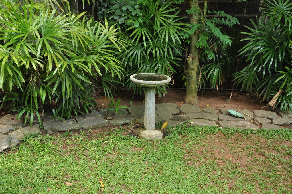 Bangalawa Bed & Breakfast Nawala Bagian luar foto